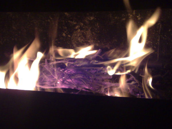 Петр Кривенков