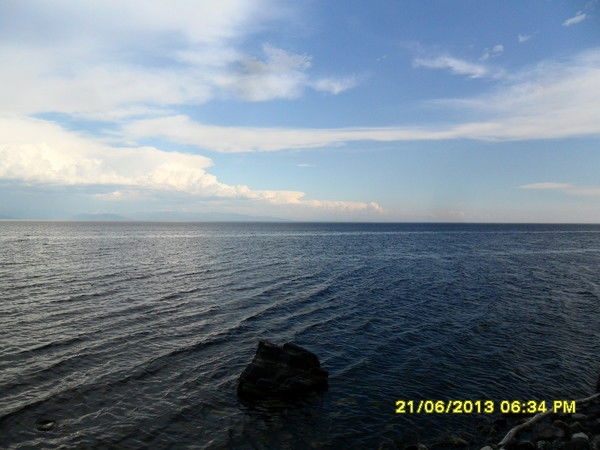 Елена Дмитриева