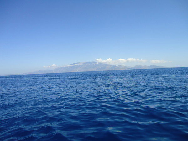 Марина Веселова