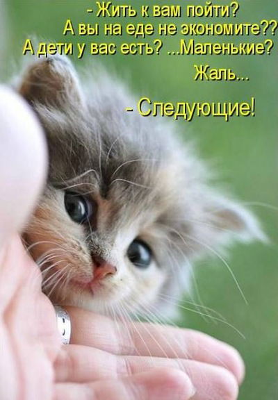 Натела Айвазян