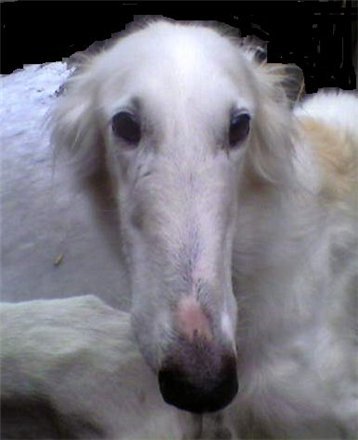 Галина *********