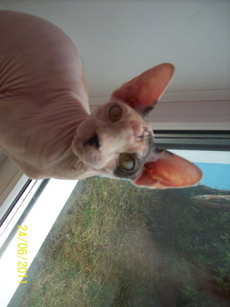 Игорь Пахомов