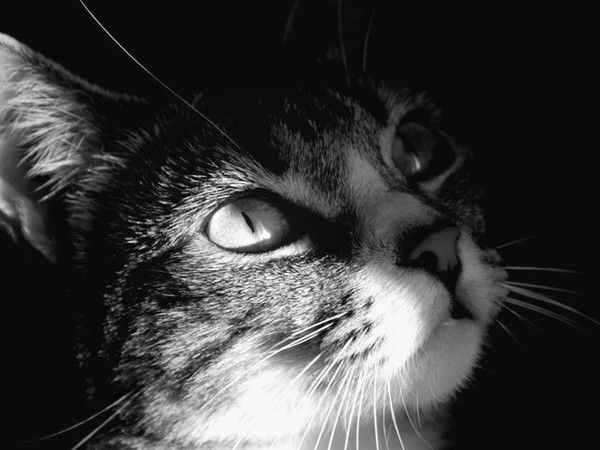 Валентина Бакерина