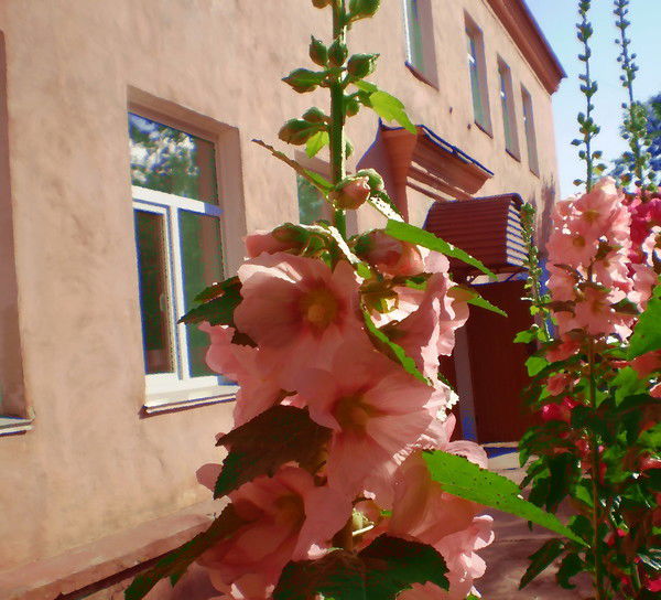 Детский Сад Теремок