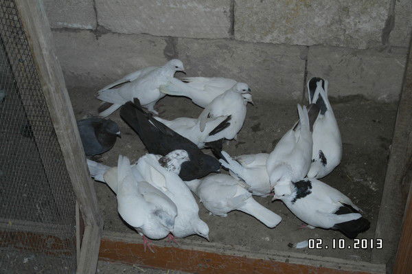 Руслан Утешов