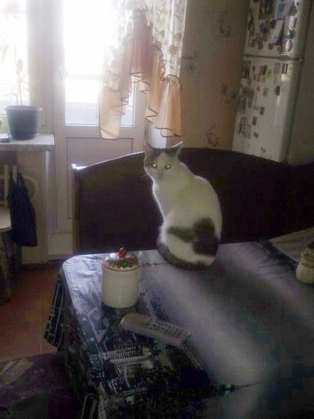 Мадина Мадина