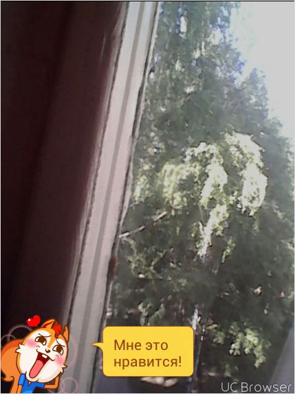 Татьяна Глущенко