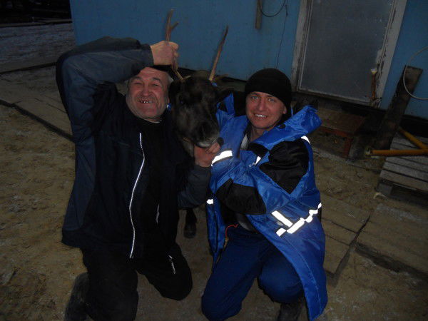 Рамиль Инсапов