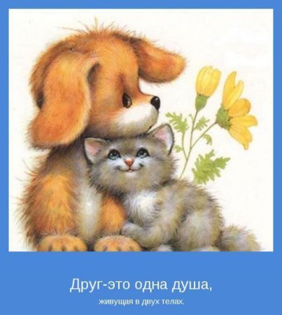 Галина Анисимова