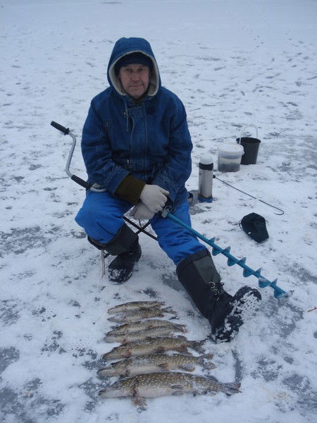 Владимир Минин