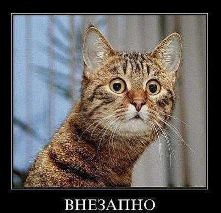 Лариса Максимова