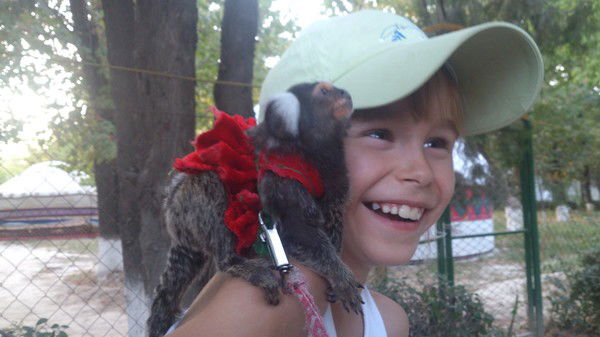 Ксюша Сергеева