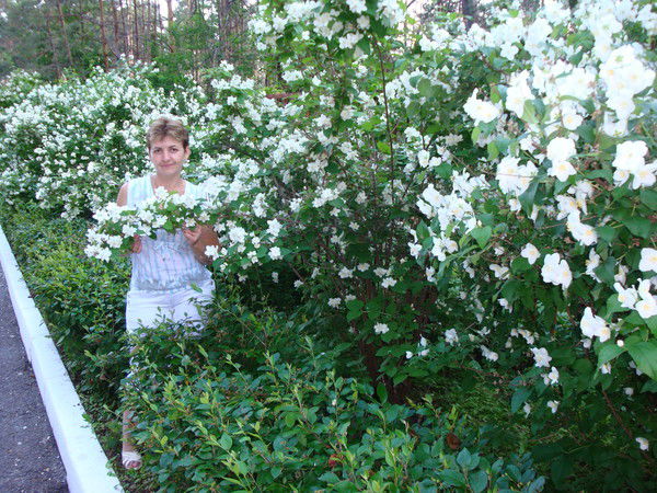 Елена Петухова