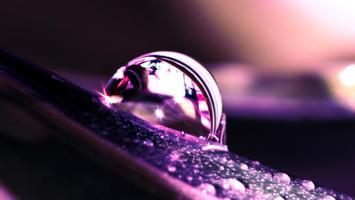 Летний Дождик