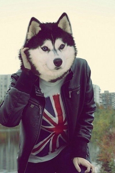 Анар Гусейнли