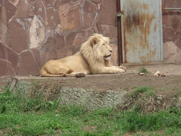 Зульмира Айтахунова