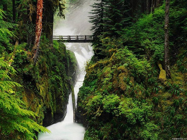 Наталья Беспаева