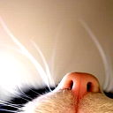 1111