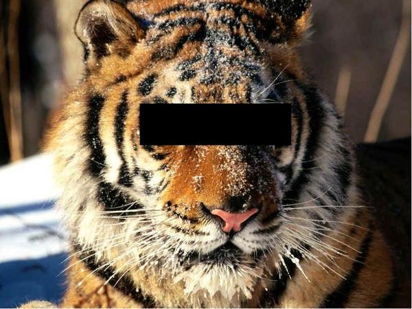 Мереке Естаупов