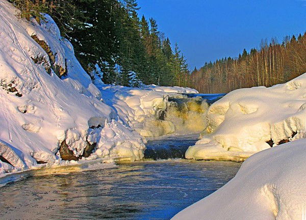 Денис Петров