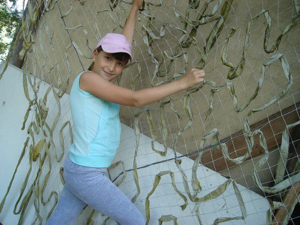 Ксюша Еськова