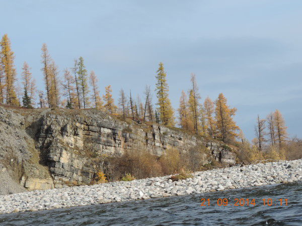 Иван Журавель