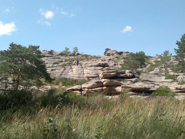 Т.в. Симонова