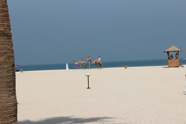 Ольга Плотникова