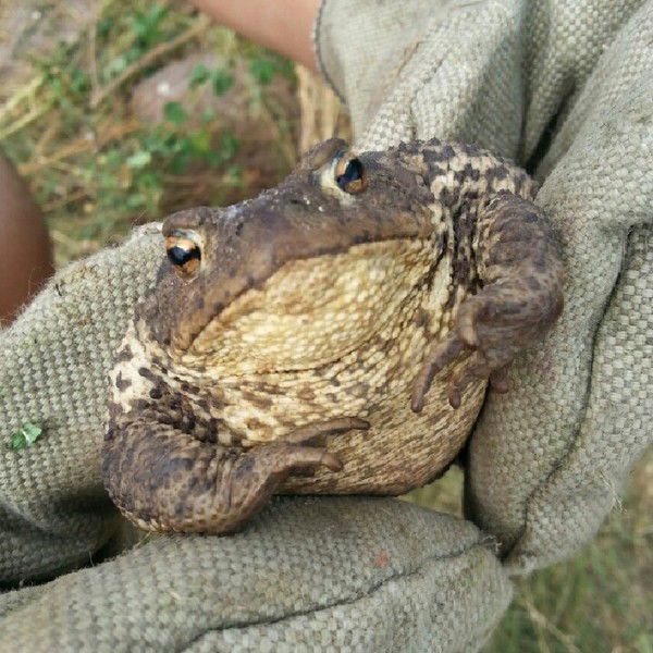 Андрей Стельмашок