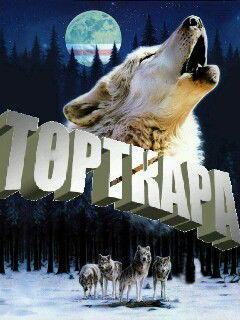 Габит Сейтимбетов