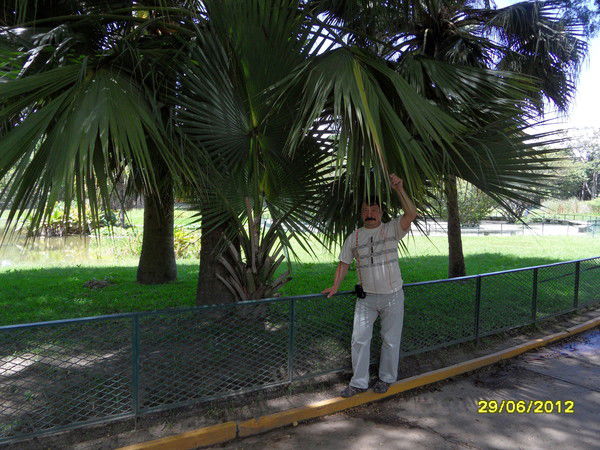 Ринат Хакиманов