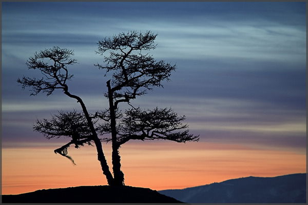 Сергей Кулаев