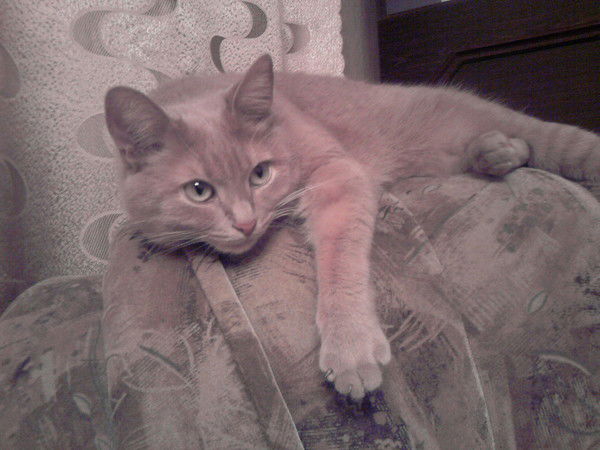 Оля Мартюкова