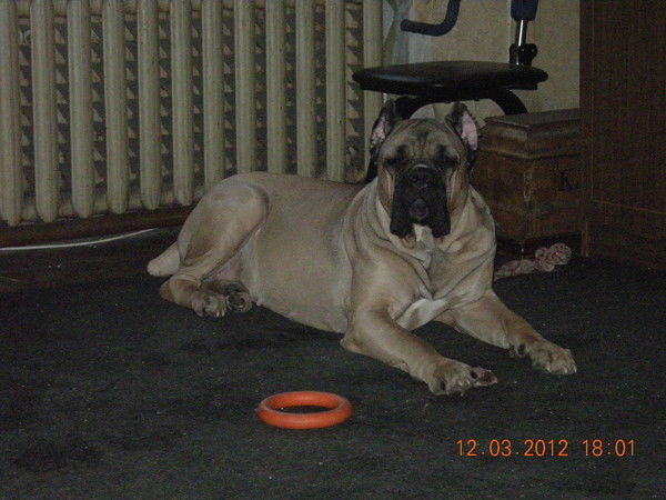 Виктория Хлудок