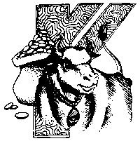 Светлана Каменова