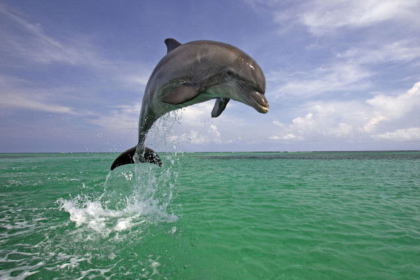 Анастасия Самойлова
