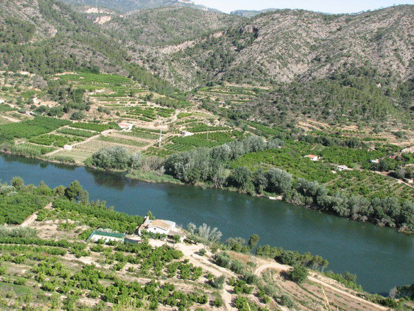 Елена Провада