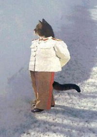 Нурсултан Жаналиев