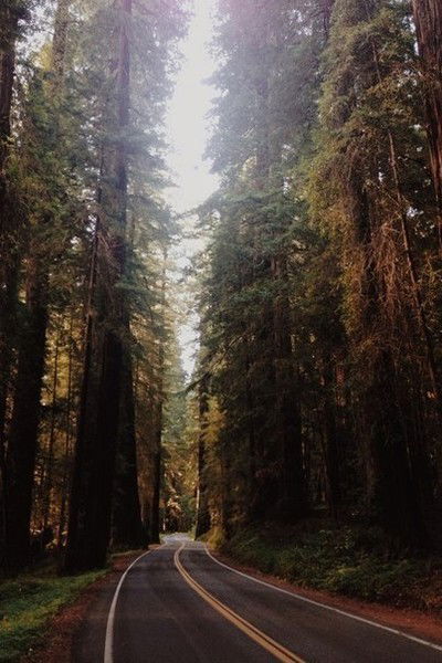 Тузелова Зылиха