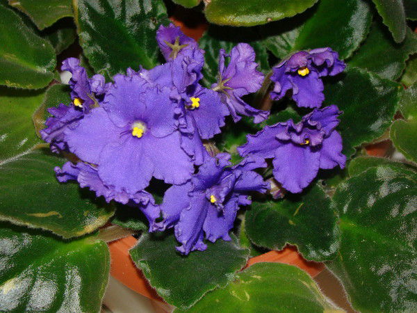 Наталья Громова