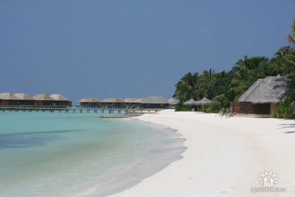 Елена Габрусенок