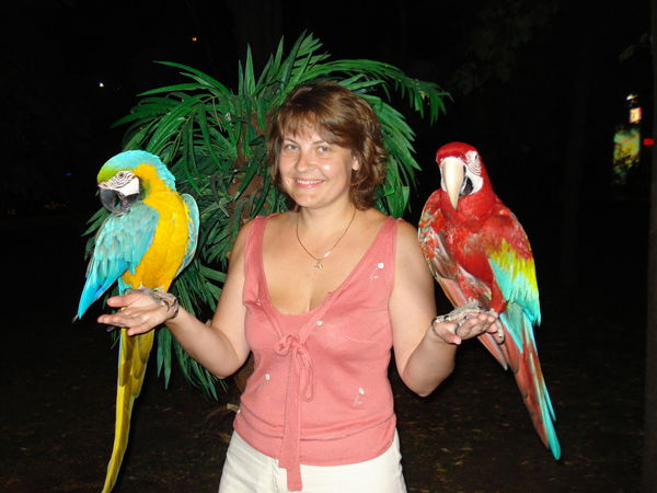 Елена Павлова