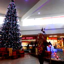 Галина Рябцева