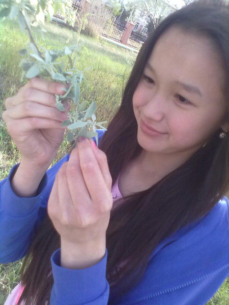 Саулеша) Кaунбekoвa)