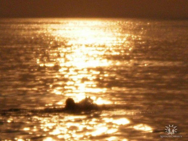 Виталий Бобярш