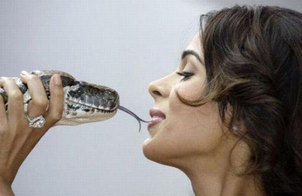 Змеюка Подколодная