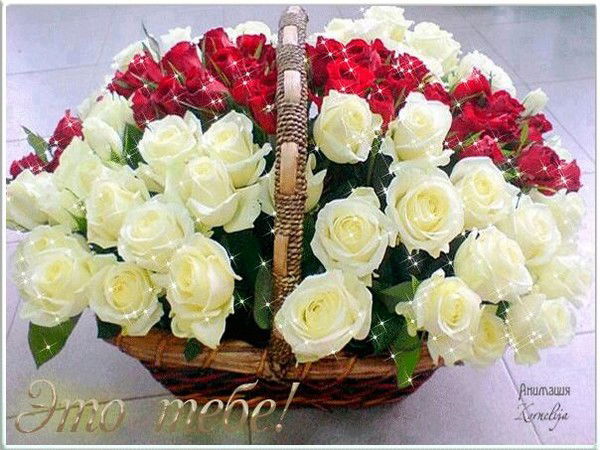 Баян Оспанова