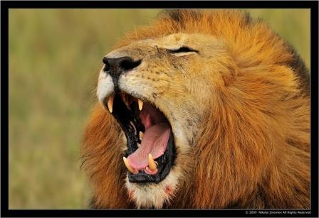 Вячеслав Васюнин