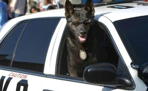 Анастасия Владимировна