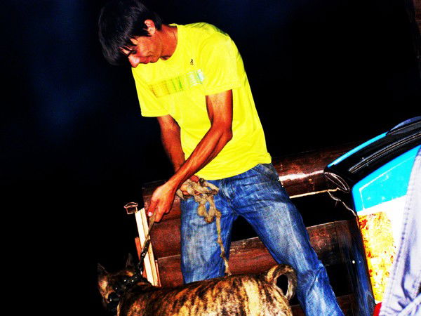 Алексей Погореловский